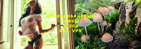 прущая мука Богданович