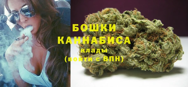 тгк Богородицк